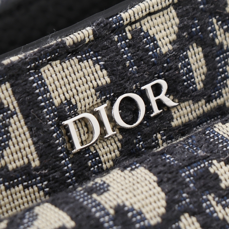 Christian Dior Saddle Bags